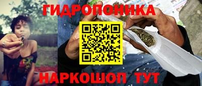 гидропоника Лесосибирск