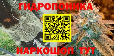 прущие грибы Ливны