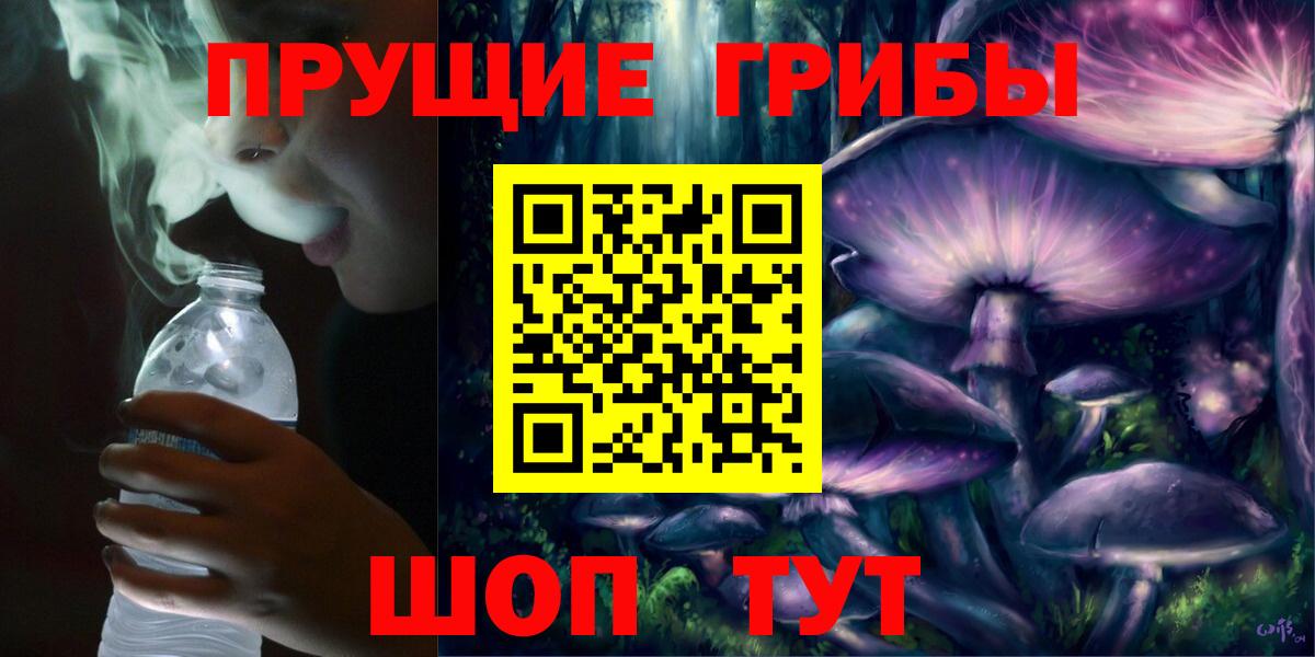 наркошоп  Вход с VPN  Геленджик  Псилоцибиновые грибы Psilocybe 