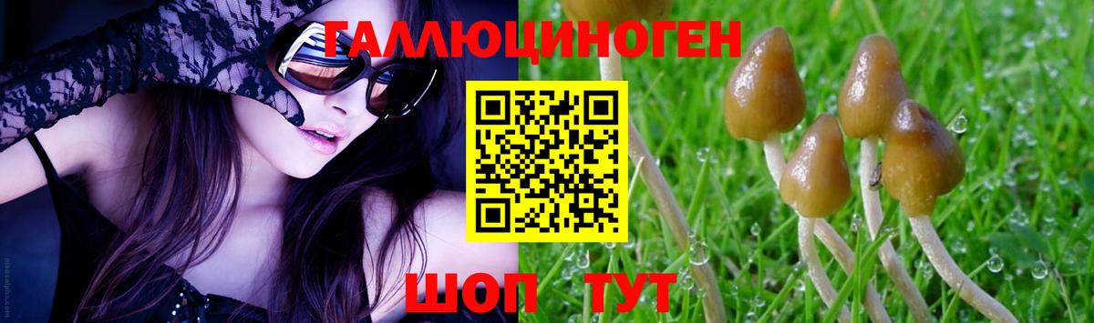Галлюциногенные грибы GOLDEN TEACHER Геленджик